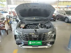 2021 Hyundai Tucson L 1.5T DCT LUX Premium — фото 20