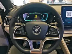 2021 BYD Song PLUS DM-i PHEV 110KM Flagship Plus — фото 11