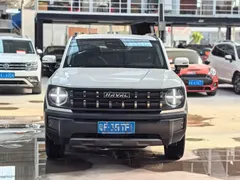 2022 Haval Cool Dog 1.5T DCT 2WD, белый — фото 2