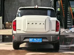 2022 Haval Cool Dog 1.5T DCT 2WD, белый — фото 4