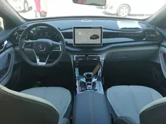2024 BYD Qin PLUS Honor DM-i PHEV 55km Leading, белый — фото 10