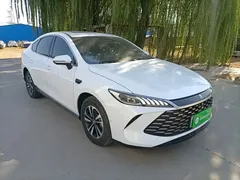 2025 BYD Qin PLUS DM-i PHEV 120KM, белый — фото 4