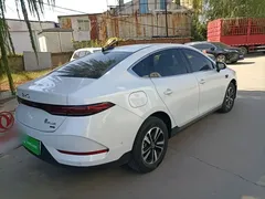 2025 BYD Qin PLUS DM-i PHEV 120KM, белый — фото 7