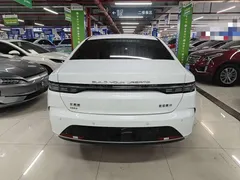 2024 BYD Destroyer 05 DM-i PHEV 55km Luxury, белый — фото 6