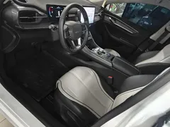 2024 BYD Destroyer 05 DM-i PHEV 55km Luxury, белый — фото 12