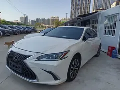 2021 Lexus ES 200 Excellence, белый — фото 1