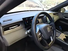 2025 BYD Qin PLUS DM-i PHEV Smart Driving 128km Advance — фото 10