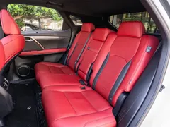 2020 Lexus RX 300 4WD F SPORT, белый — фото 12