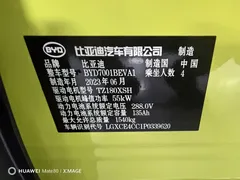 2023 BYD Seagull Flying, зелёный — фото 11