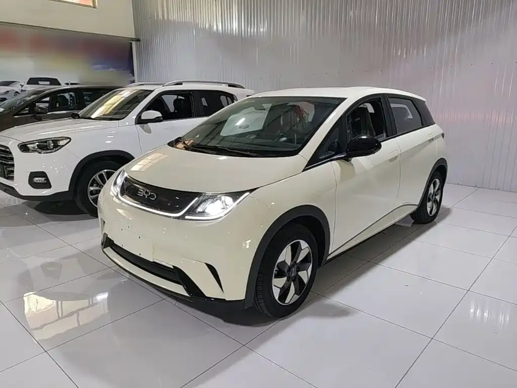 2025 BYD Dolphin 420km Freedom