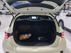 2025 BYD Dolphin 420km Freedom — фото 19