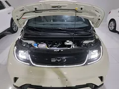 2025 BYD Dolphin 420km Freedom — фото 20