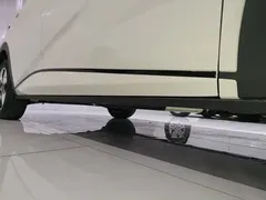 2025 BYD Dolphin 420km Freedom — фото 21