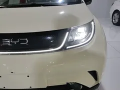2025 BYD Dolphin 420km Freedom — фото 24
