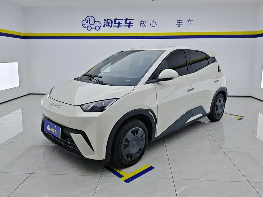 2023 BYD Seagull Vitality