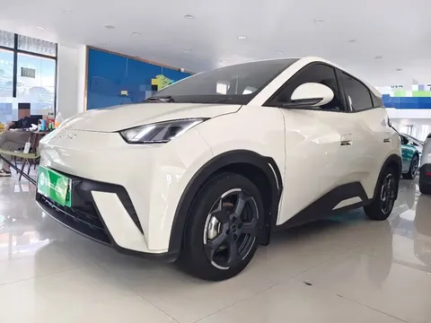 2024 BYD Seagull EV 305km Honor Freedom