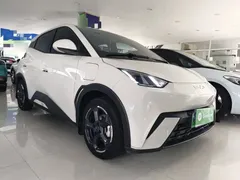 2024 BYD Seagull EV 305km Honor Freedom, белый — фото 4