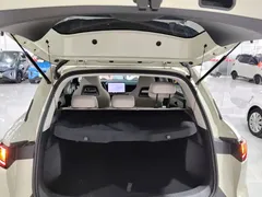 2025 BYD Yuan UP Smart Driving 401km Vitality, зелёный — фото 19