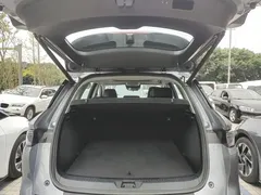 2025 BYD Sea Lion 05 DM-i PHEV 115km ADAS Premium — фото 19