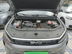 2025 BYD Sea Lion 05 DM-i PHEV 115km ADAS Premium — фото 20