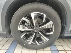 2025 BYD Sea Lion 05 DM-i PHEV 115km ADAS Premium — фото 23