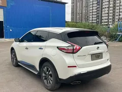 2021 Nissan Murano 2.5L XE 2WD Elite, белый — фото 6