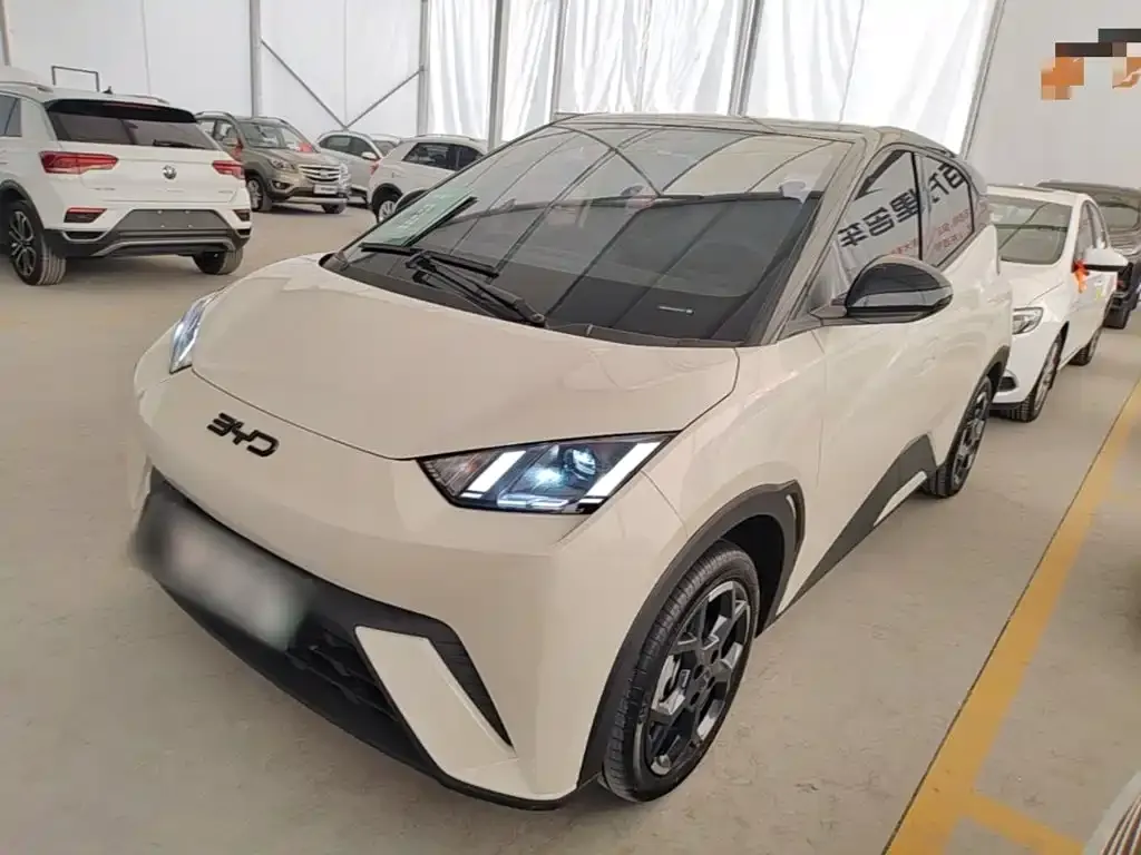 2025 BYD Seagull 305km Freedom