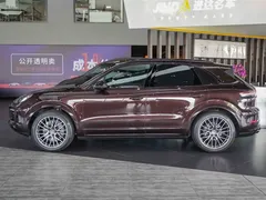 2023 Porsche Cayenne S 2.9T Platinum — фото 20
