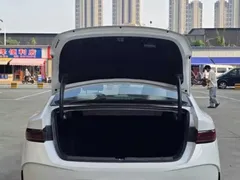 2025 BYD Qin PLUS EV 510km Smart Driving Leading, белый — фото 11