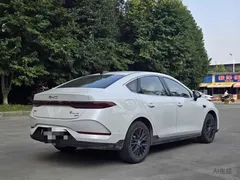2025 BYD Qin PLUS EV 510km Smart Driving Leading, белый — фото 13