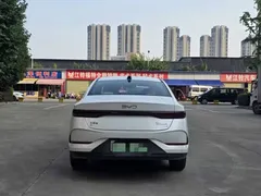2025 BYD Qin PLUS EV 510km Smart Driving Leading, белый — фото 14