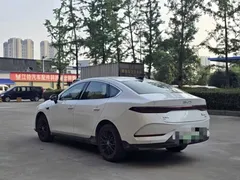 2025 BYD Qin PLUS EV 510km Smart Driving Leading, белый — фото 15