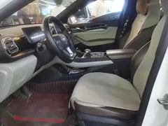 2024 BYD Qin PLUS DM-i PHEV 55km Honor Excellence, белый — фото 6