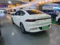 2024 BYD Qin PLUS DM-i PHEV 55km Honor Excellence, белый — фото 9