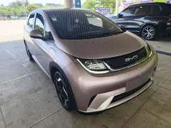 2023 BYD Dolphin 420km Freedom, чёрный — фото 4