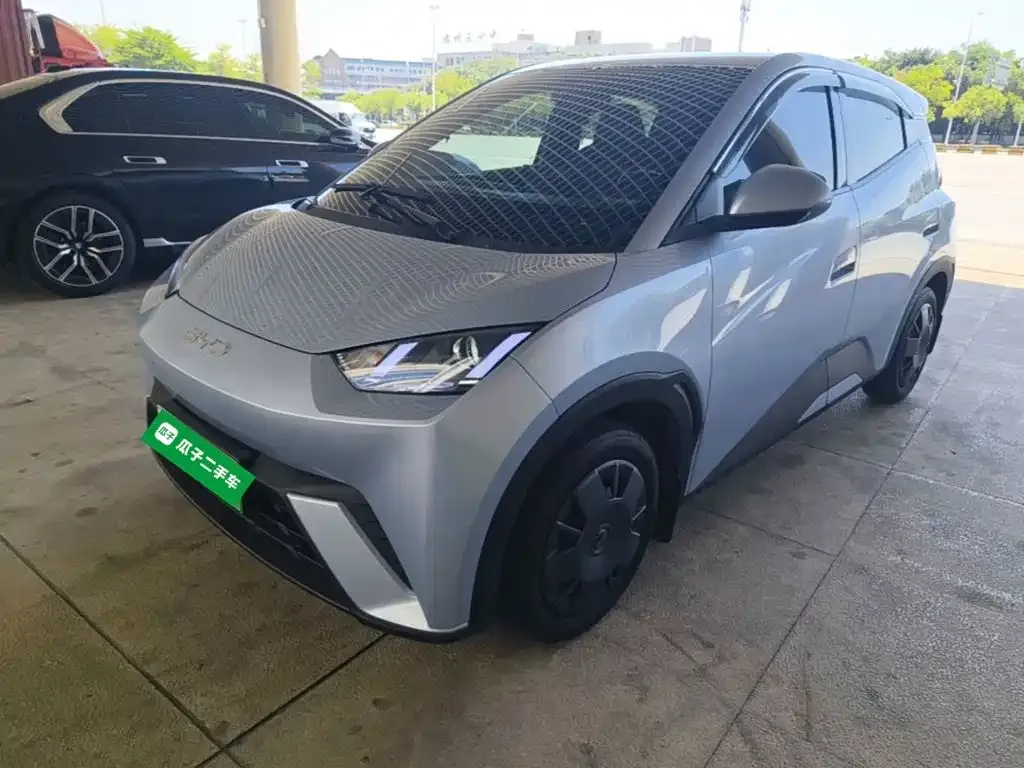 2025 BYD Seagull 305km Vitality