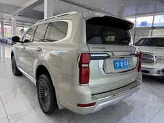 2023 Tank 500 3.0T Business 5-seat — фото 21
