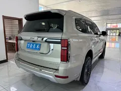 2023 Tank 500 3.0T Business 5-seat — фото 23