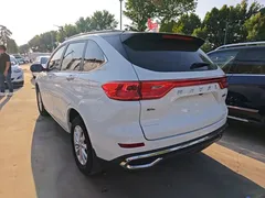 2021 Haval M6 Plus 1.5T DCT Luxury, белый — фото 5