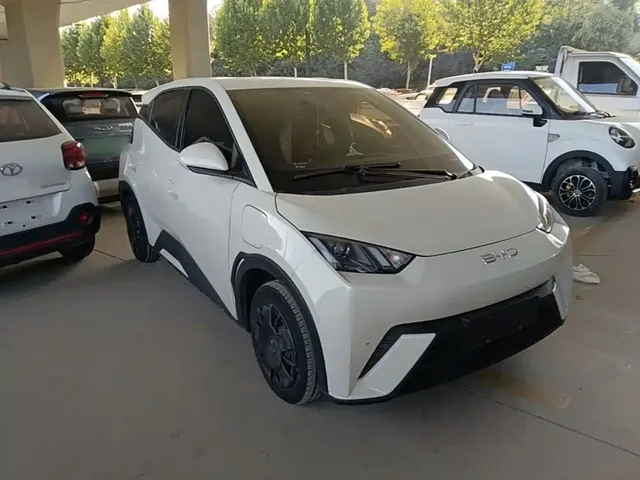 2023 BYD Seagull Vitality