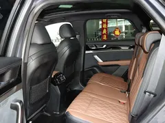 2021 BYD Tang DM-i PHEV 112km Premium — фото 11