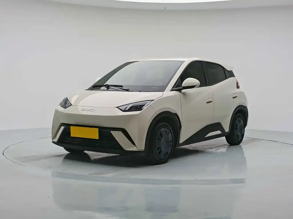 2024 BYD Seagull Honor 305km Vitality