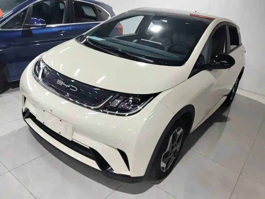 2021 BYD Dolphin 405km Fashion