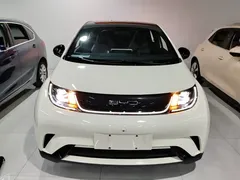2021 BYD Dolphin 405km Fashion, белый — фото 3