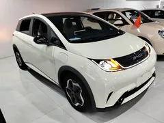 2021 BYD Dolphin 405km Fashion, белый — фото 4