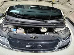 2021 BYD Dolphin 405km Fashion, белый — фото 20