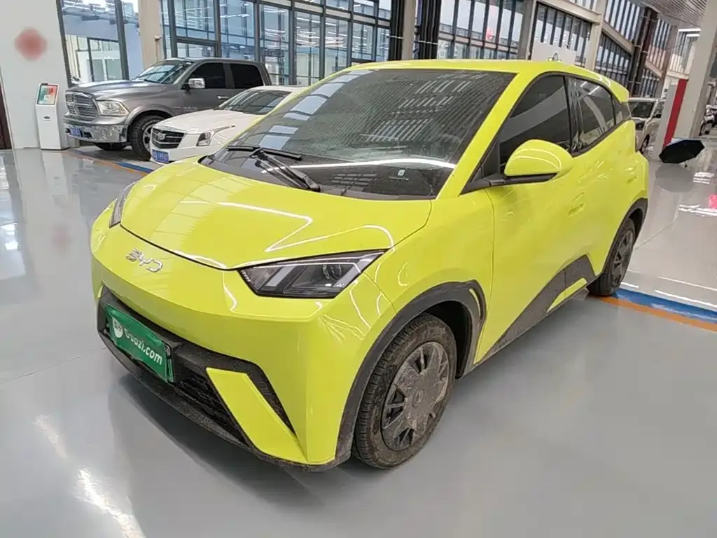 2024 BYD Seagull Honor 305km Vitality