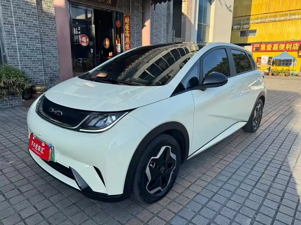 2021 BYD Dolphin 405km Fashion