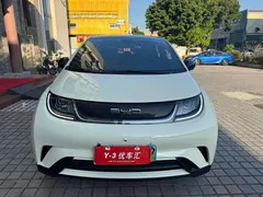 2021 BYD Dolphin 405km Fashion — фото 2