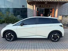 2021 BYD Dolphin 405km Fashion — фото 4